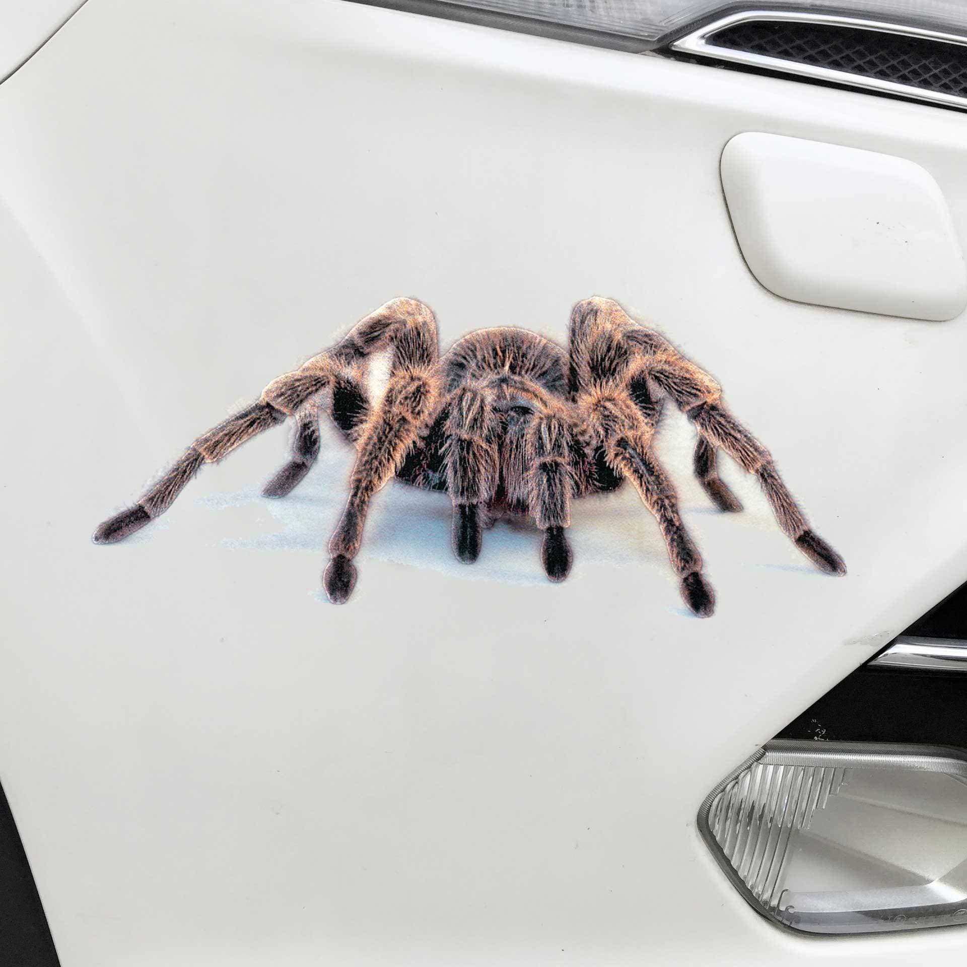 3D simulation effect car sticker with matte texture