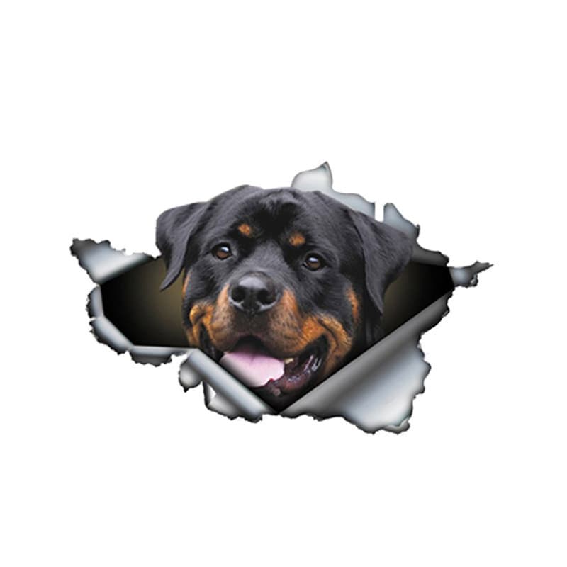 Aliauto Funny Rottweiler Bumper Stickers Torn Metal Reflective Sticker Pet Dog Decal 3D13x8cm